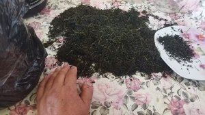 Морковный чай фирменный из ботвы. Запах фруктов и ягод, но не моркови.