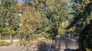 Видео от Аварийка LIVE | ДТП и ЧП России