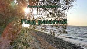 Алексей Павленко - Под ракитой
