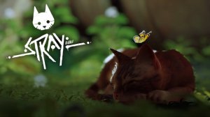 БРОДЯГА КОТ | STRAY #1