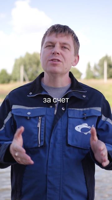 А вы знали, что большая часть лосося на наших прилавках из Норвегии? смотреть онлайн