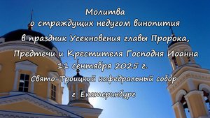 Молитва о страждущих недугом винопития и наркомании 11.09.2025