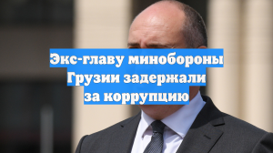 Экс-главу минобороны Грузии задержали за коррупцию