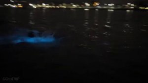 Свечение моря! Красивое видео.