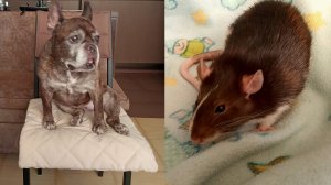 Моя любовь 17.07.24