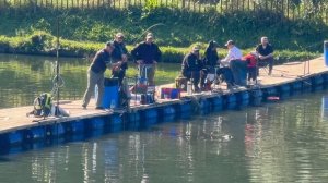 Форель с переходного