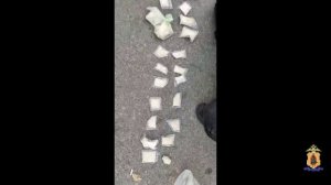 В Рязани полицейские пресекли сбыт наркокурьером из Орловской области более 800 граммов «синтетики»