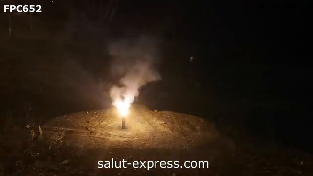 FPC652 петарда PANDA (терочная)