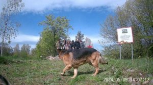 Девятое мая 09.05.24