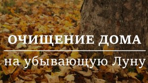 ОЧИЩЕНИЕ ДОМА. Ритуал с листьями на убывающую Луну