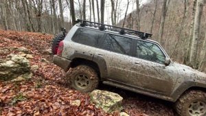 Land Cruiser 105 и Nissan Patrol