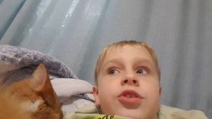 Проверяй мои медали с котом