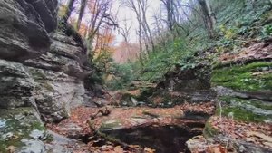 Прогулка по Ахштырскому каньону, Сочи. 12.12.2020