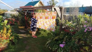 Разные домашние и огородные дела