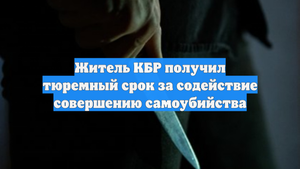 Житель КБР получил тюремный срок за содействие совершению самоубийства