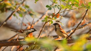 Ждем бабье лето. Такое утро