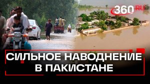 Мощное наводнение угрожает продовольственной безопасности Пакистана