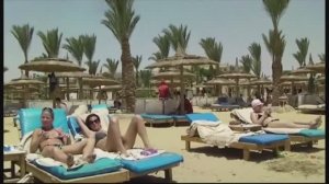 Albatros. Египет. Апрель 2014