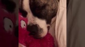 Кот в шоке.mp4