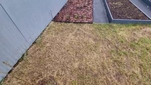 Из Германии в Россию/Готовим автодом к сезону/ Наши будни /Тюмень/ Жизнь в России/ #Roborockf25rt