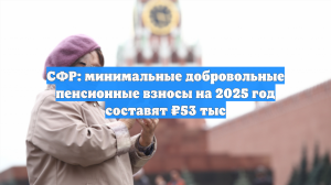 СФР: минимальные добровольные пенсионные взносы на 2025 год составят ₽53 тыс