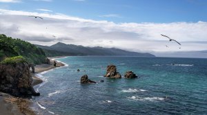 Ну что тебе сказать про Сахалин (перепевка,кавер-версия) Советские песни