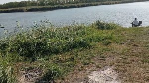 Поимка чёрного амура на поплавок,рыбалка и аплодисменты