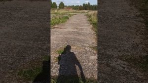 всё на прогулке