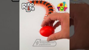 Т16446 Сколопендра гигантская