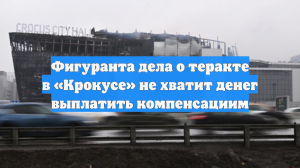 Фигуранта дела о теракте в «Крокусе» не хватит денег выплатить компенсациим