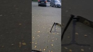 ДРИФТИМ НА ВЕЛИКЕ