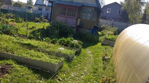 Собираюсь в город.