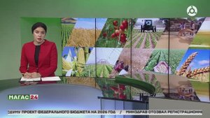 Ингушетия отмечает подъем в сельском хозяйстве