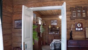 События Череповца: озеленение города, шахматы в парках, Чехов в музее