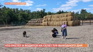 Особенности сельского туризма в Усть-Донецком районе