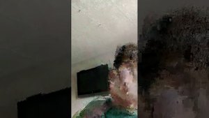 просто играю на гитаре