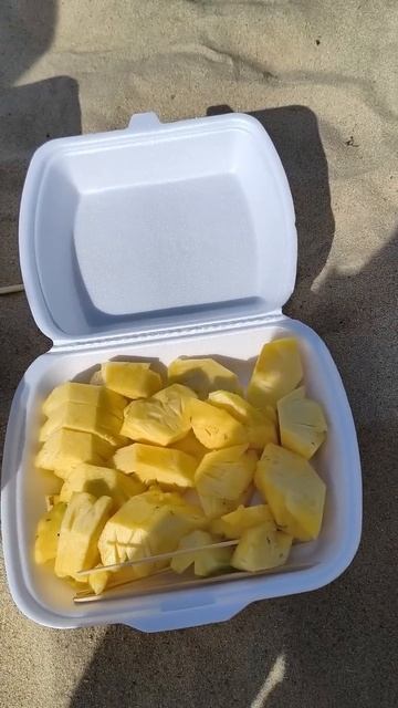 Нячанг. Лотос на пляже, дешевые Манго и ананас, золотые рыбки, Вид из автобуса. @tutsi-dieti смотреть онлайн