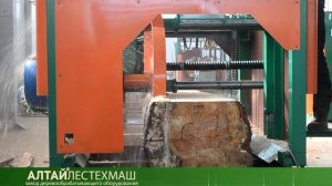 Угловая дисковая пилорама Алтай
