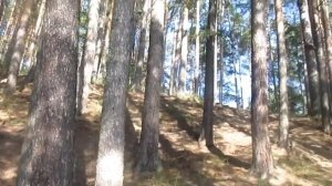 Когда со мной такая женщина - Автор Лариса Рубальская музыка Галина Любчич поёт Вячеслав Чен
