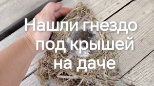Интересная находка!