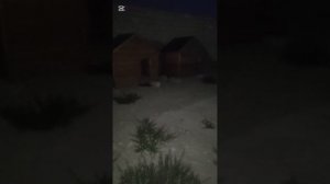 Кангала и Ротвеллершу после лечения отпускать или все таки построим вольеры?