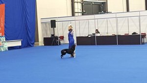 1000013337.mp4.Людмила Ейбогина.Танцы с собаками.Соревнования в Экспофоруме.23.08.2025.