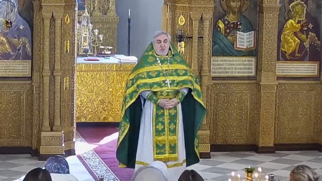 Вход Господень в Иерусалим. Проповедь иерея Владимира Коваль-Зайцева смотреть онлайн