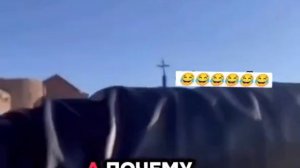 Турецкая карова