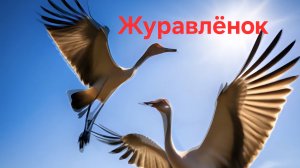 Журавлёнок (cover)