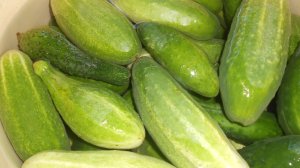 11-09-2025 Солка огурцов