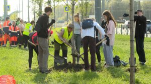 Новые деревья на Южном шоссе