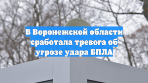 В Воронежской области сработала тревога об угрозе удара БПЛА