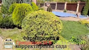Корректировка и формирование сада Ростов на Дону.Грицаенко М.В.Южная и Северная сторона,болезни сада