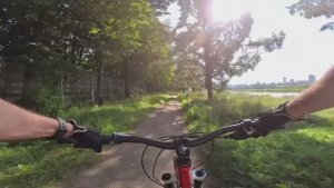 Покатушки в одно лицо, сентябрь, филевский парк, гребной канал.